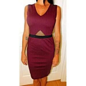 LA PINA DAVID HELWANI NATALIA SLEEVELESS COCKTAIL DRESS SIZE MEDIUM NWT $275